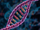 //healthgardenusa.com/cdn/shop/articles/Your_paragraph_text_5fc775da-2f4f-4b59-9690-2da405ae8e77.png?v=1756782733&width=40