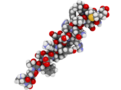 Peptide Power: The Next Frontier in Muscle & Skin Renewal