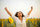 //healthgardenusa.com/cdn/shop/articles/victory.jpg?v=1757967112&width=40