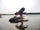 //healthgardenusa.com/cdn/shop/articles/yoga-2427975_1280_a07d25d6-5ce8-4e58-84eb-f279473a9c92.jpg?v=1755549502&width=40
